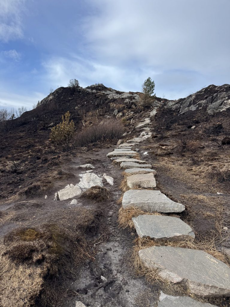 Sendero de losas de piedra en la ladera de Sukkertoppen